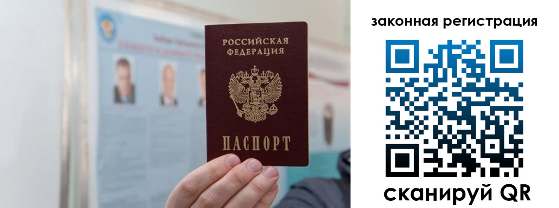 прописка законно в Полярных Зорях